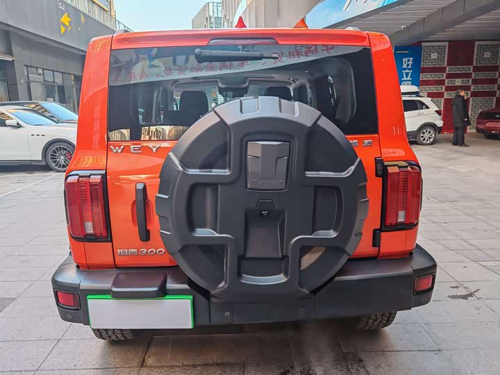 Фото 13 - Tank 300