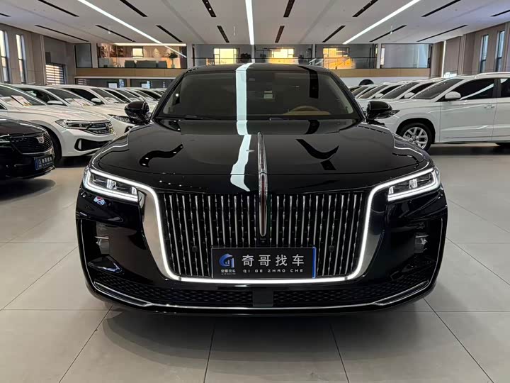 Фото 2 - Hongqi H9