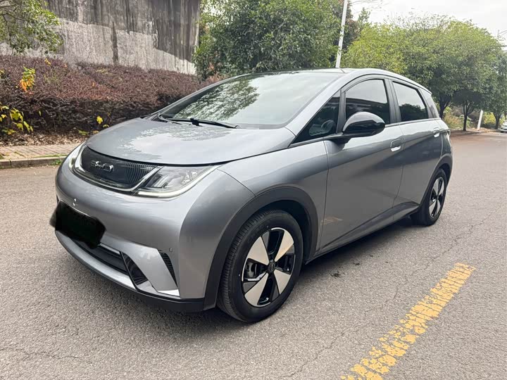 Фото 1 - BYD Dolphin