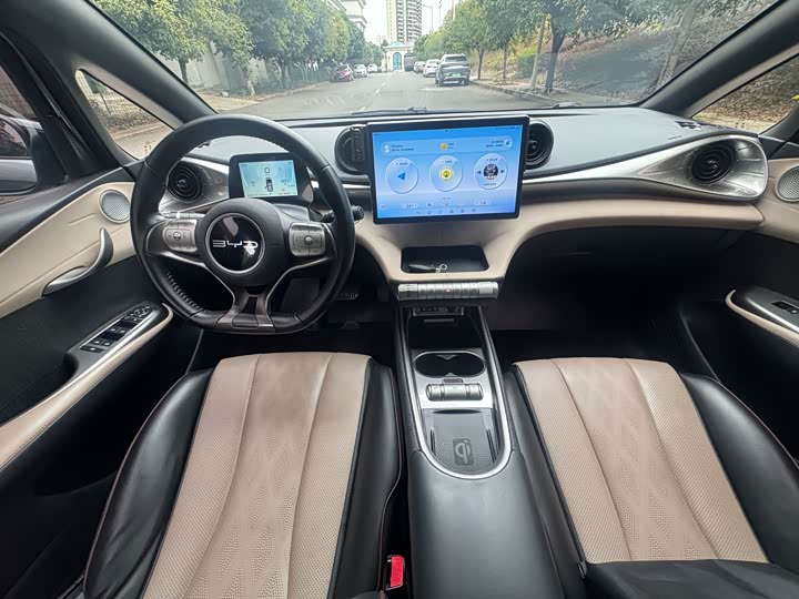 Фото 6 - BYD Dolphin