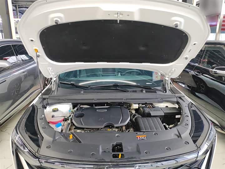 Фото 20 - Geely Atlas