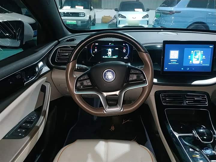 Фото 11 - BYD Qin Plus