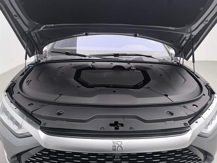 Фото 6 - BYD Han