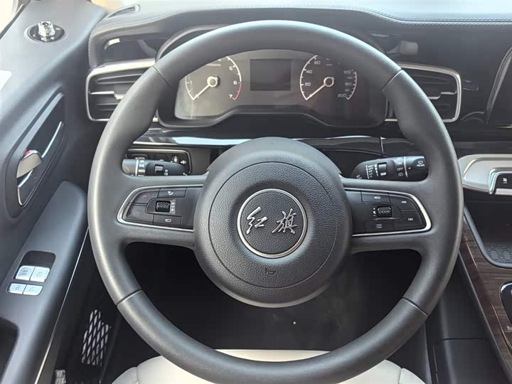 Фото 15 - Hongqi Guoyue