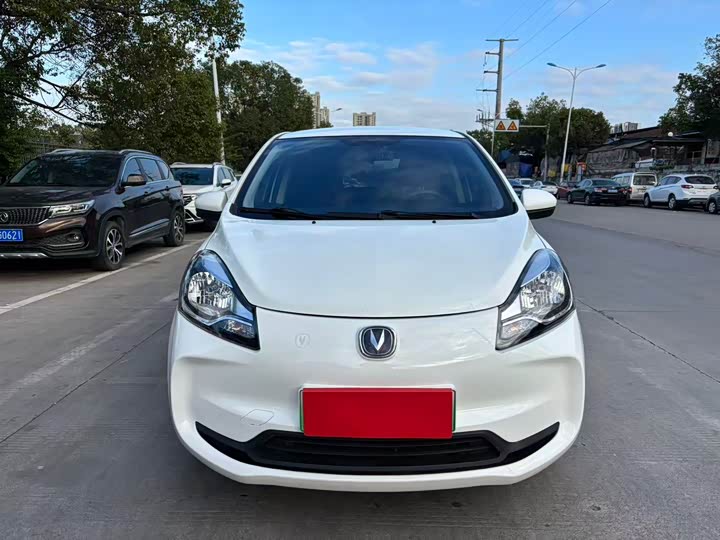 Фото 2 - Changan BenBen E-Star