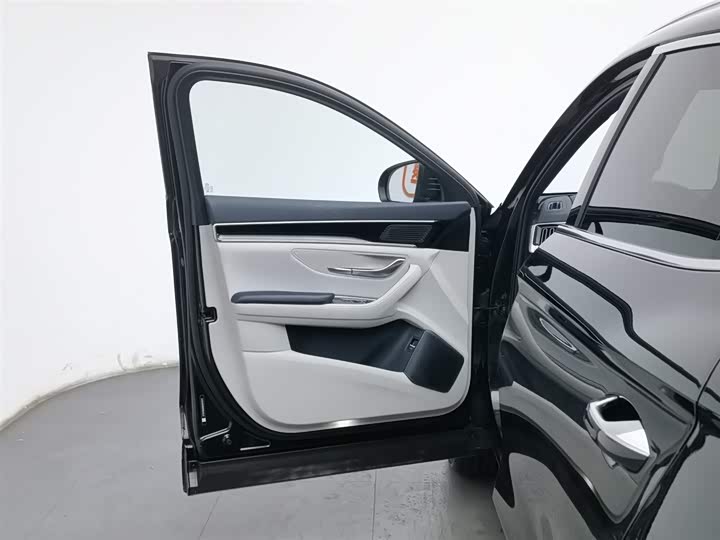 Фото 8 - BYD Song Plus Hybrid/EV