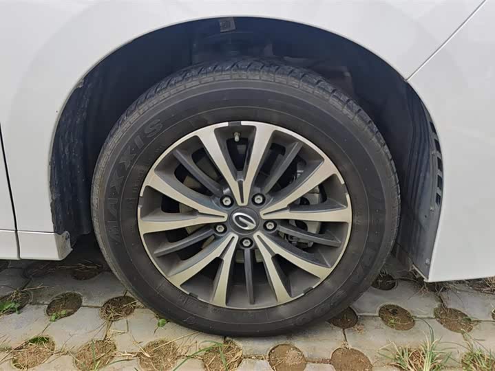 Фото 6 - GAC Trumpchi M8