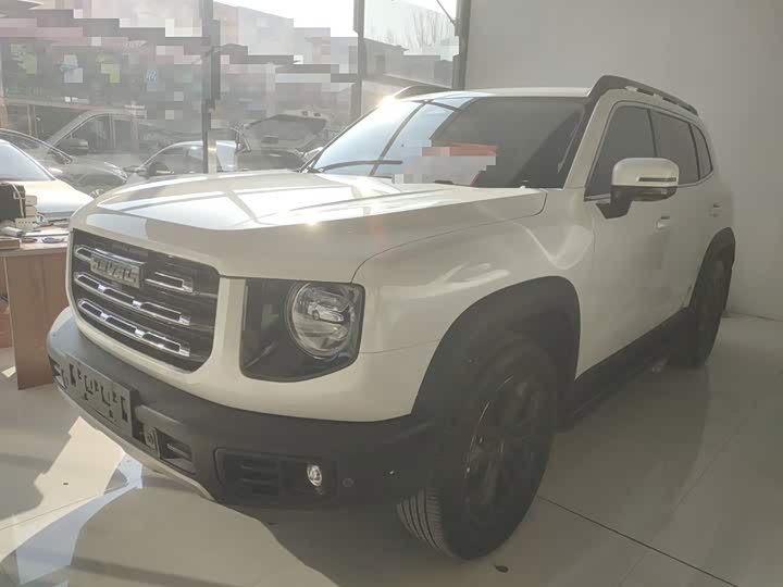 Фото 2 - Haval Dargo