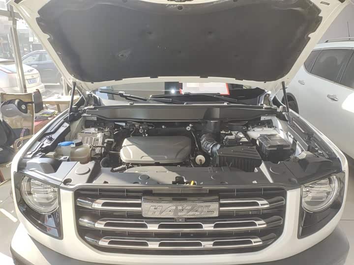 Фото 20 - Haval Dargo