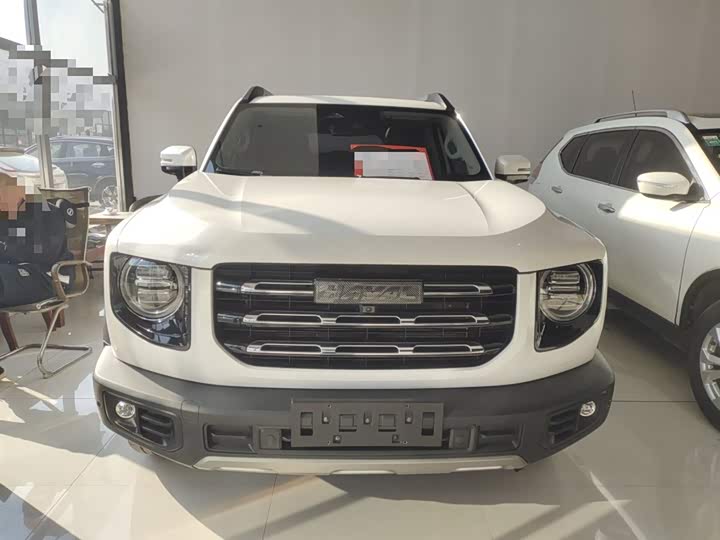 Фото 3 - Haval Dargo