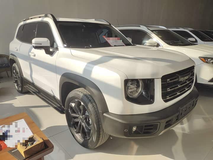 Фото 4 - Haval Dargo