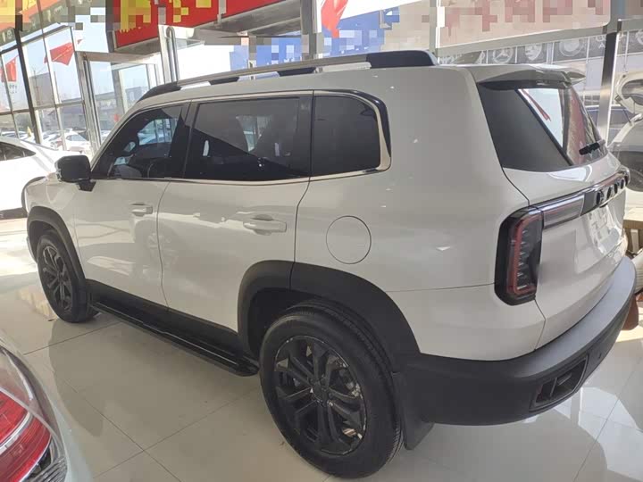 Фото 5 - Haval Dargo