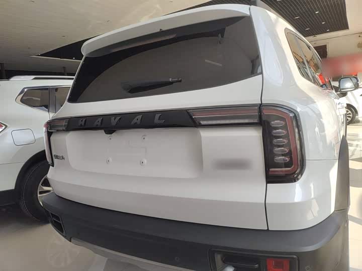 Фото 6 - Haval Dargo