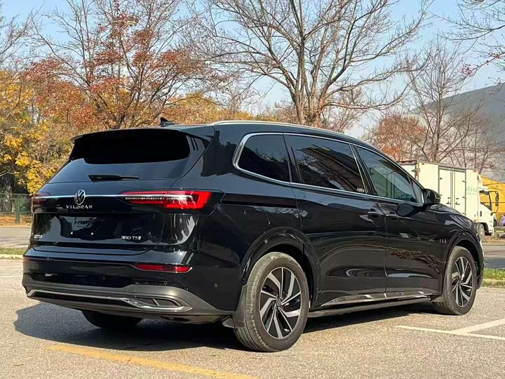 Фото 7 - Volkswagen Viloran