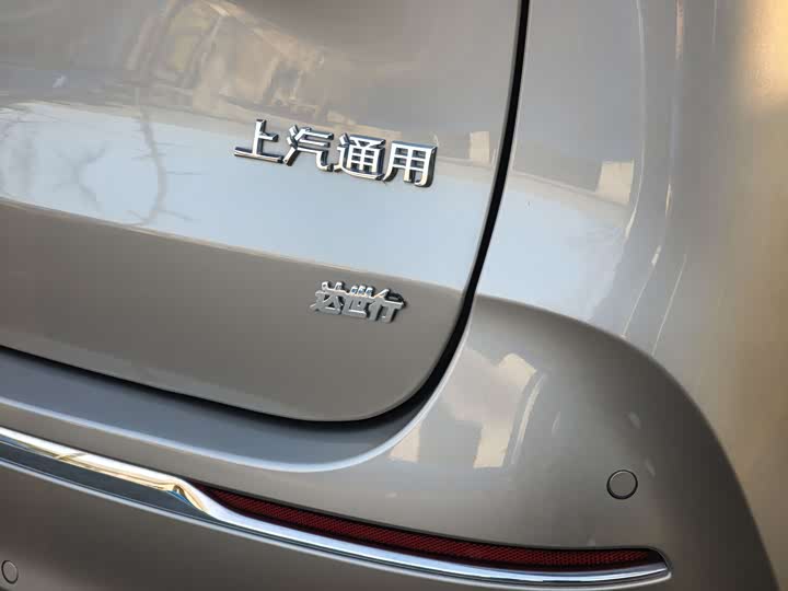 Фото 25 - Buick GL8 ES