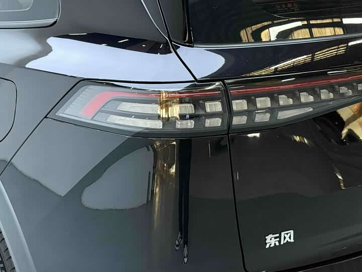 Фото 18 - Dongfeng Yipai eπ 008