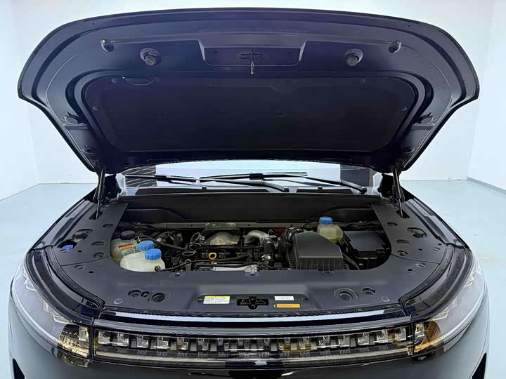 Фото 4 - Dongfeng Yipai eπ 008