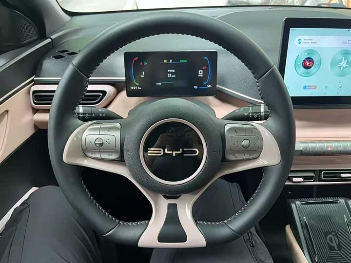 Фото 11 - BYD Seagull