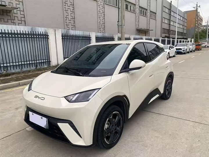 Фото 2 - BYD Seagull