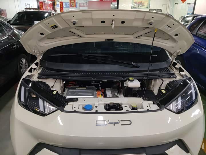 Фото 20 - BYD Seagull