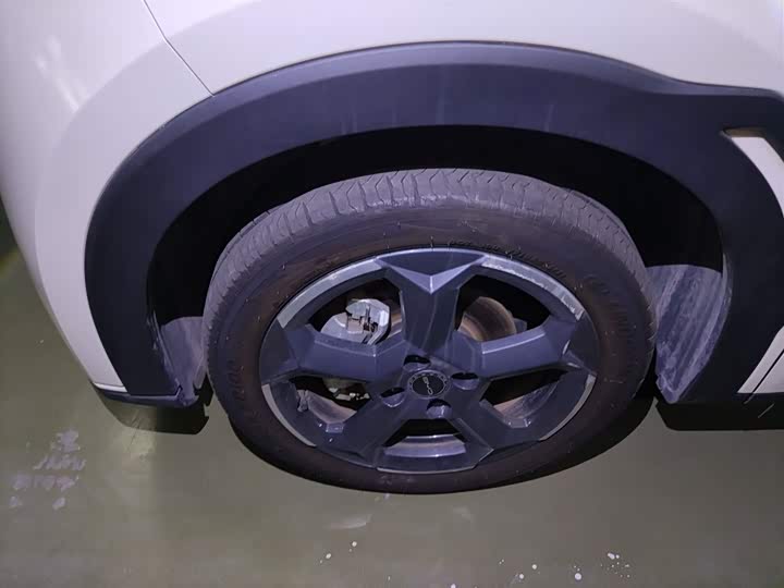 Фото 23 - BYD Seagull