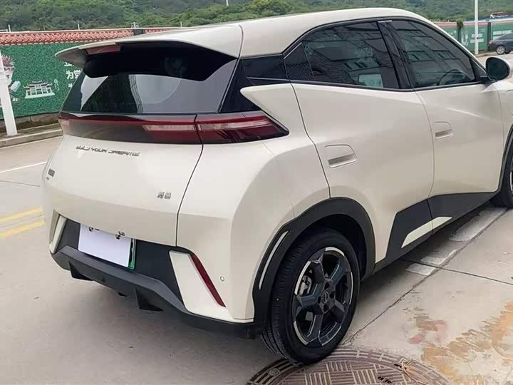 Фото 7 - BYD Seagull