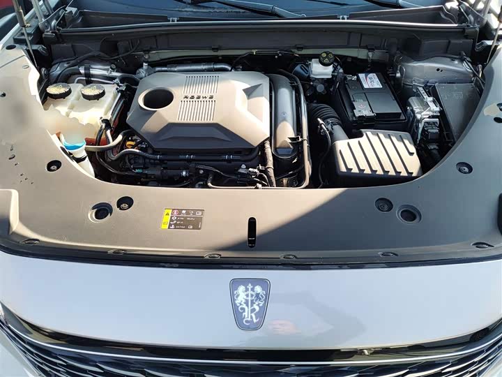 Фото 20 - Roewe RX5