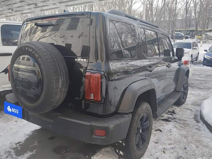 Фото 3 - Tank 300