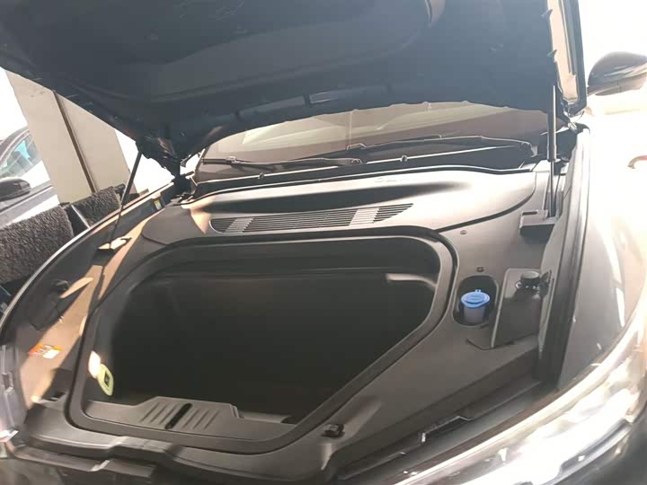 Фото 20 - Ford Mustang Mach-E