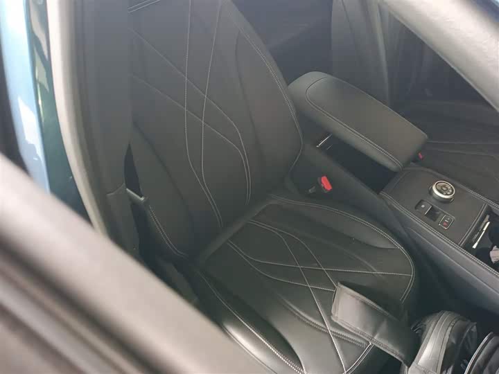 Фото 25 - Ford Mustang Mach-E