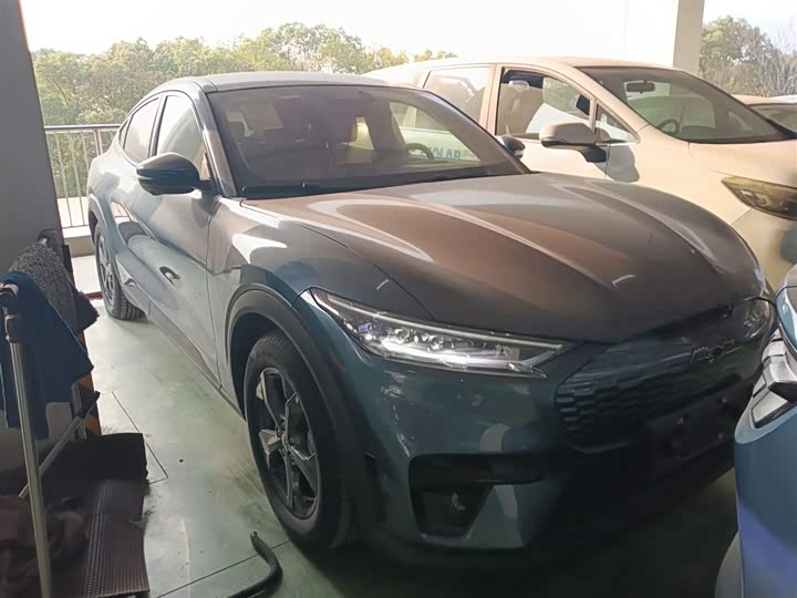 Фото 4 - Ford Mustang Mach-E