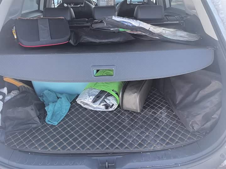 Фото 4 - Toyota Wildlander