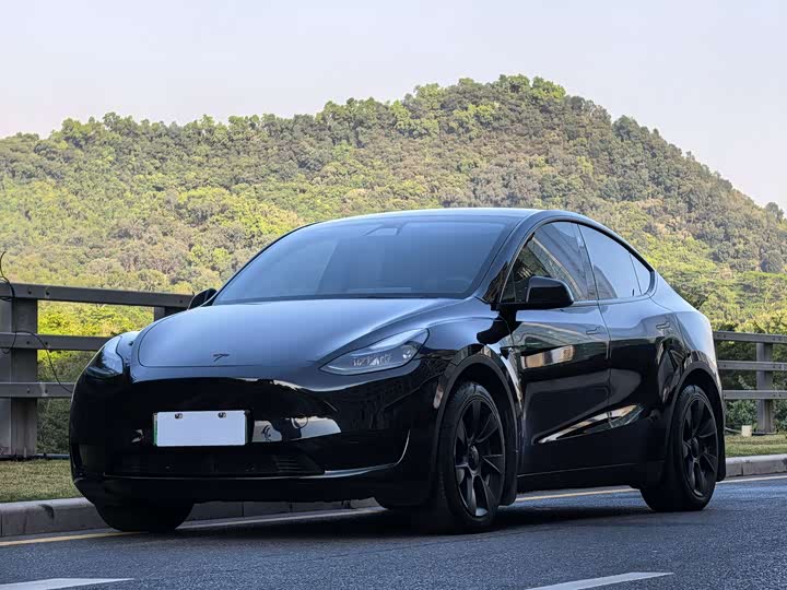 Фото 1 - Tesla Model Y