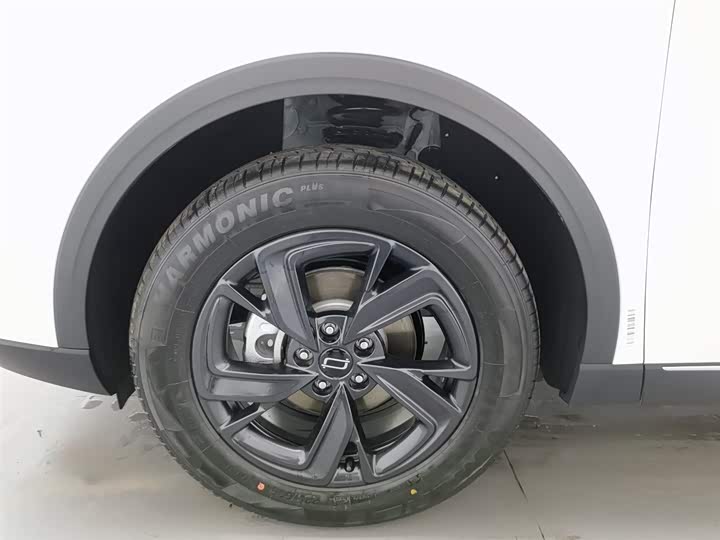 Фото 17 - Bestune T90