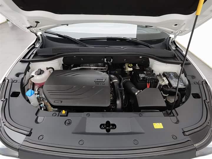 Фото 6 - Bestune T90