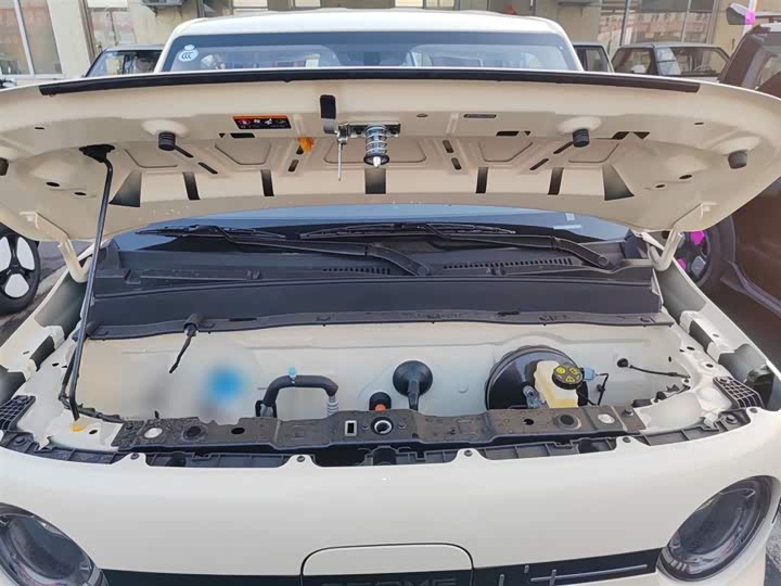 Фото 20 - Geely Galaxy Panda Mini