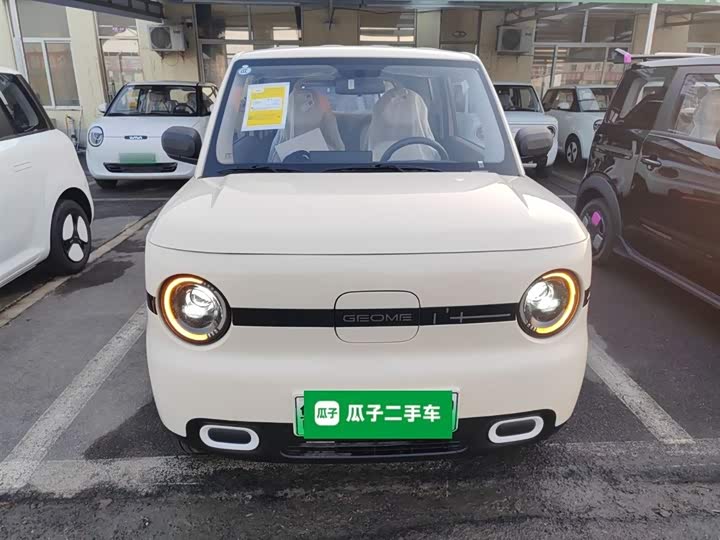 Фото 3 - Geely Galaxy Panda Mini