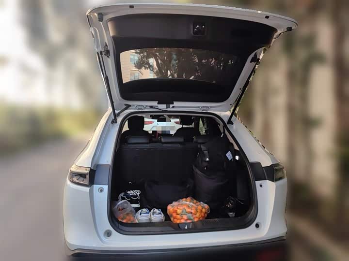 Фото 10 - Honda XR-V