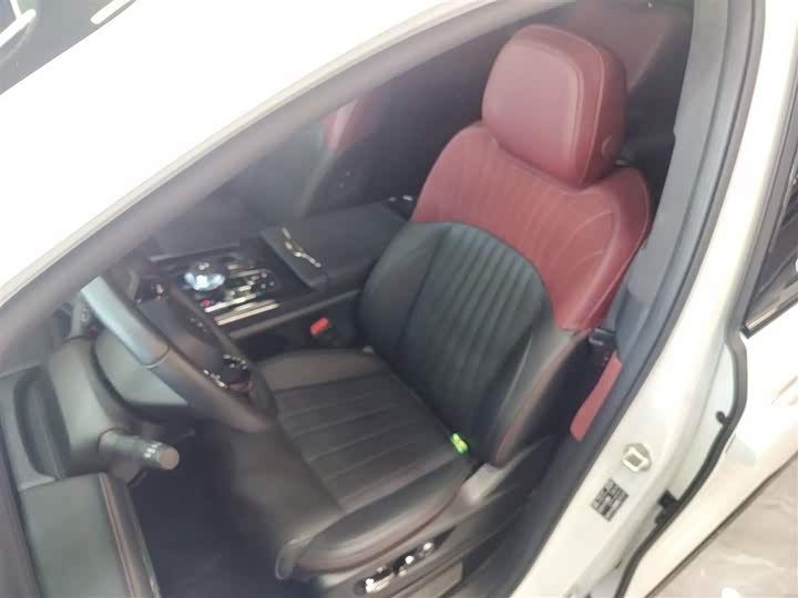 Фото 15 - GAC Trumpchi E9