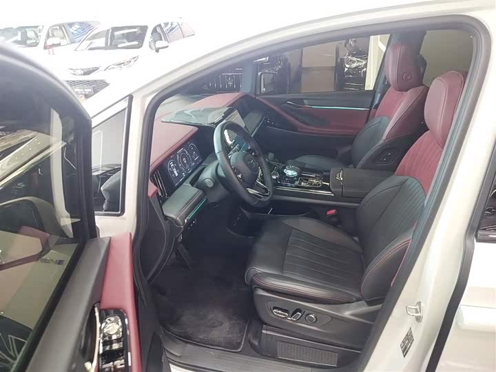 Фото 16 - GAC Trumpchi E9