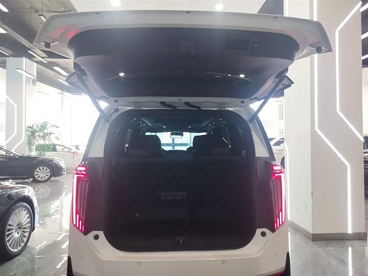 Фото 19 - GAC Trumpchi E9