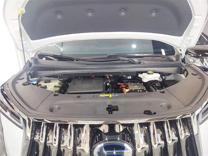 Фото 20 - GAC Trumpchi E9