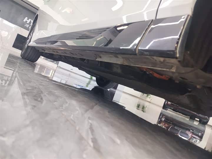 Фото 21 - GAC Trumpchi E9