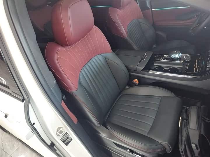 Фото 25 - GAC Trumpchi E9