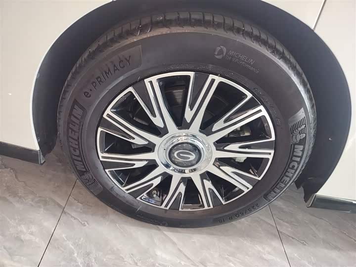 Фото 26 - GAC Trumpchi E9