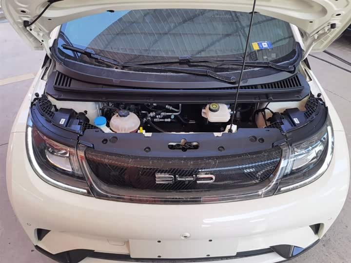 Фото 11 - BYD Dolphin