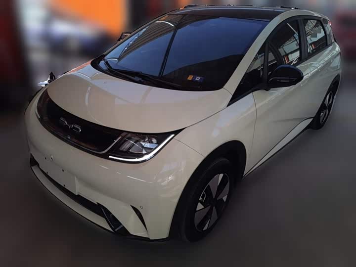 Фото 2 - BYD Dolphin