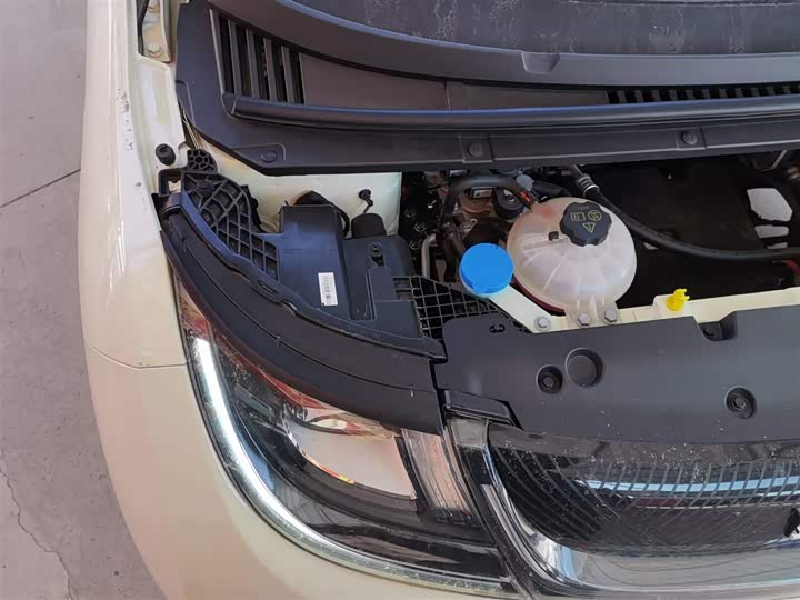 Фото 21 - BYD Dolphin