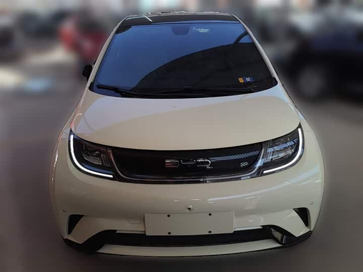 Фото 24 - BYD Dolphin