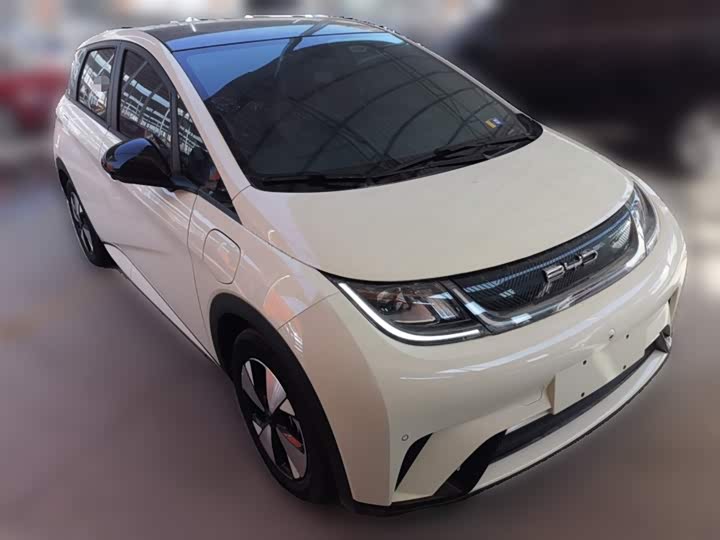 Фото 26 - BYD Dolphin